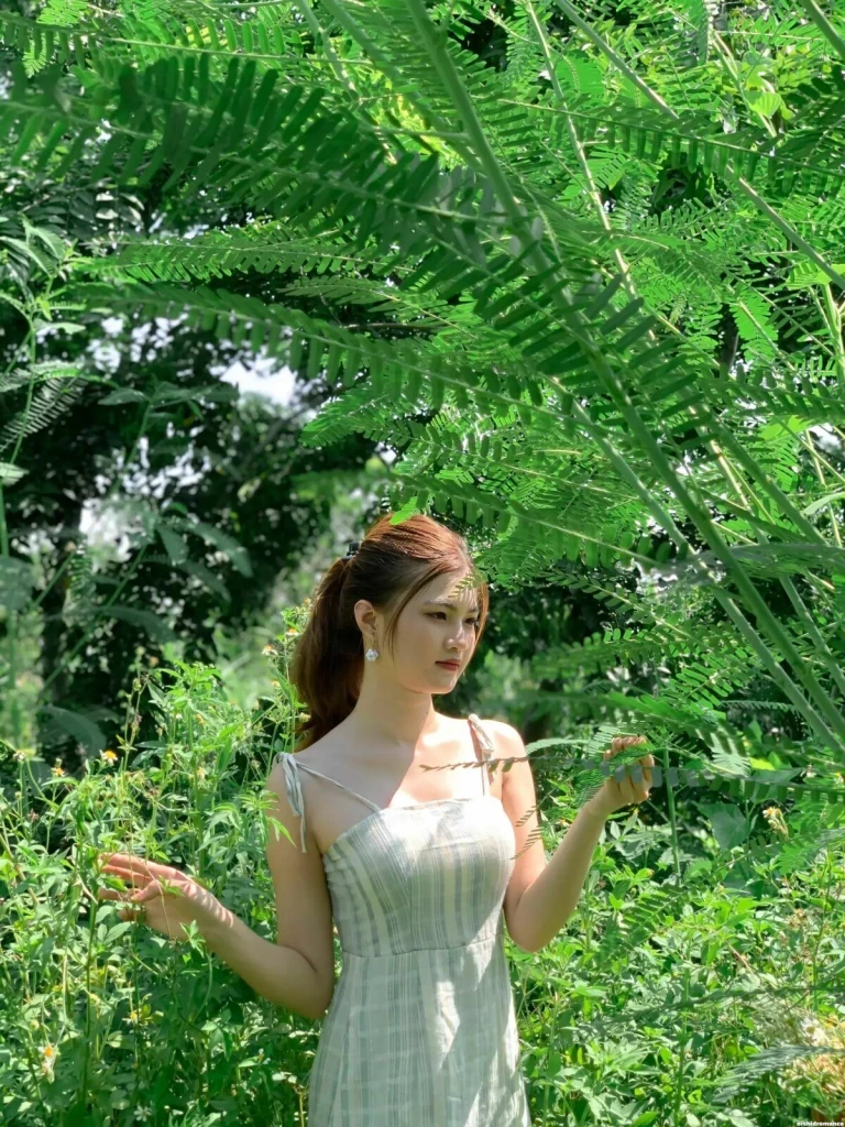 Pham Truc Profile image 4