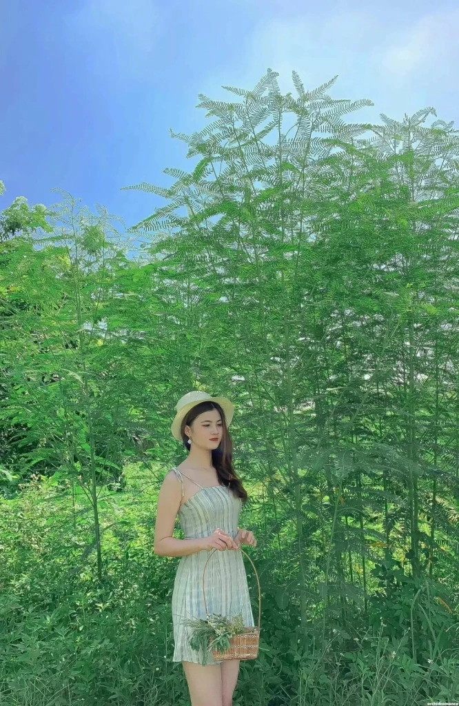 Pham Truc Profile image 6
